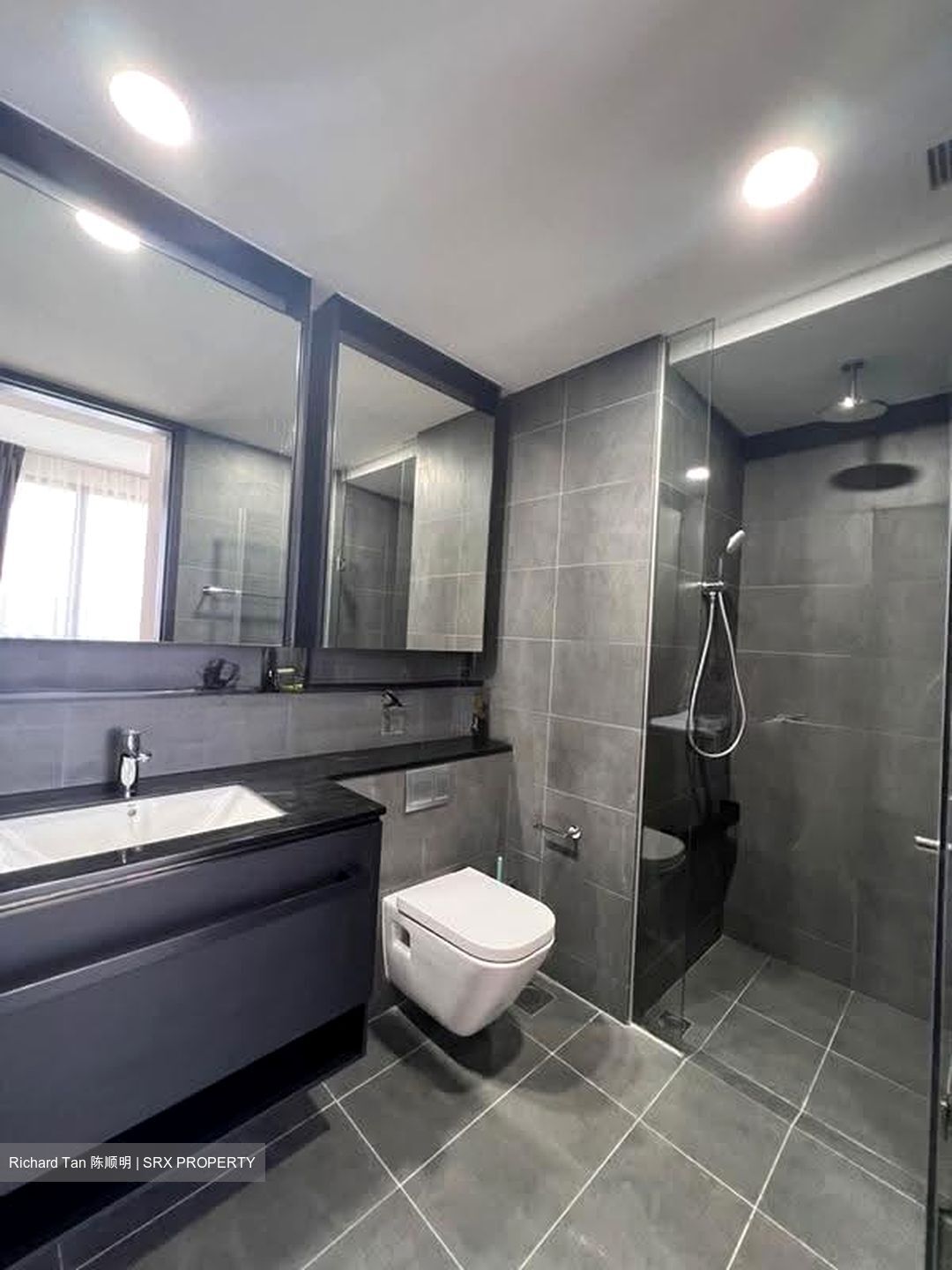 Park Colonial (D13), Condominium #615809261